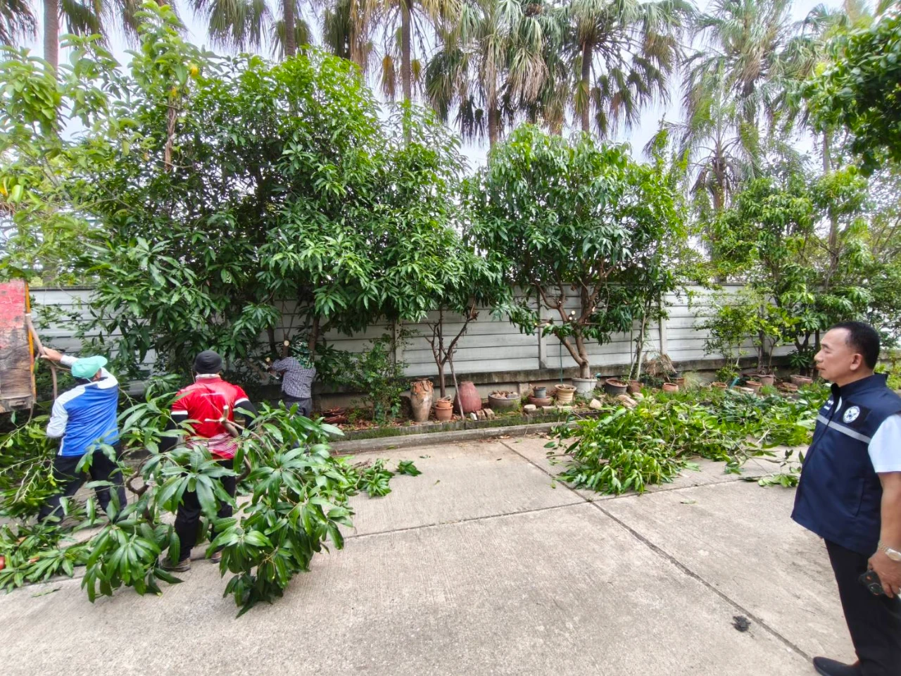 catalogs_file_650_18_8_847571.webp