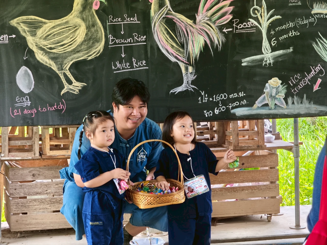 catalogs_file_688_40_11_385036.webp